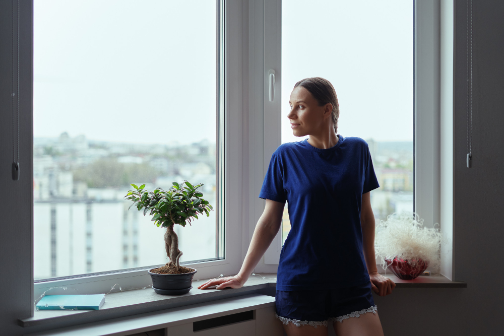 Charlotte Vinyl Windows